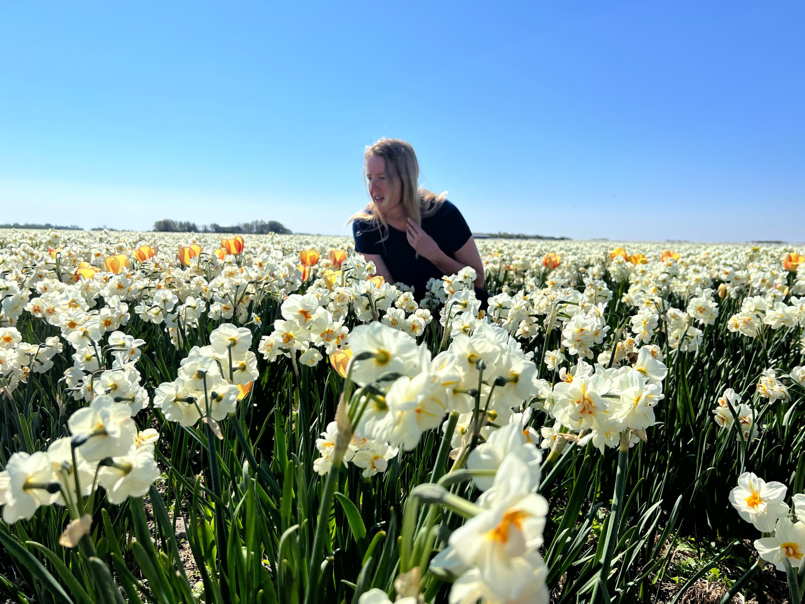 Afbeelding van WhatsApp op 2025-05-20 om 12.18.09_f1c9e1a0 Astrid van Middelaar